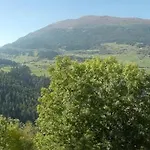 Haus Tauber Apartmán *